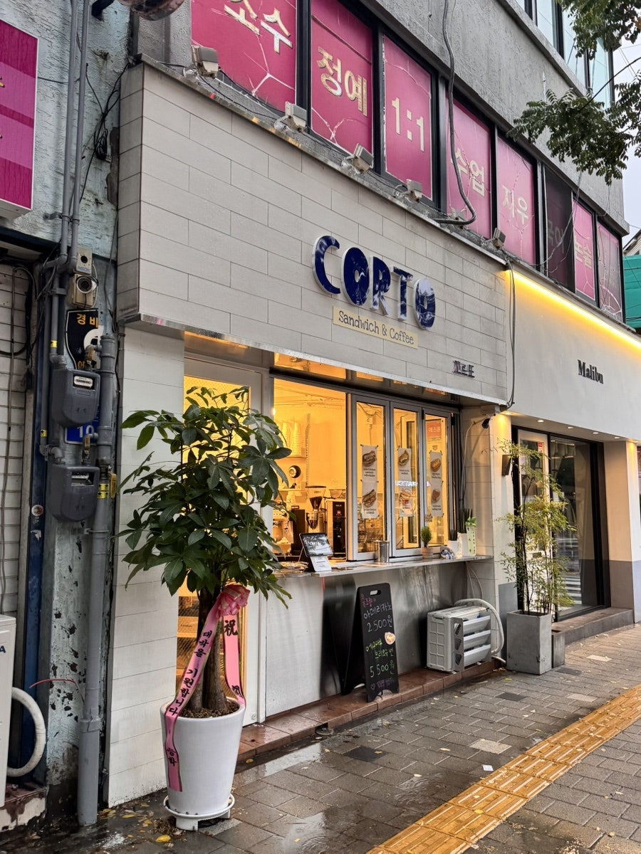 꼬르또 사진 5