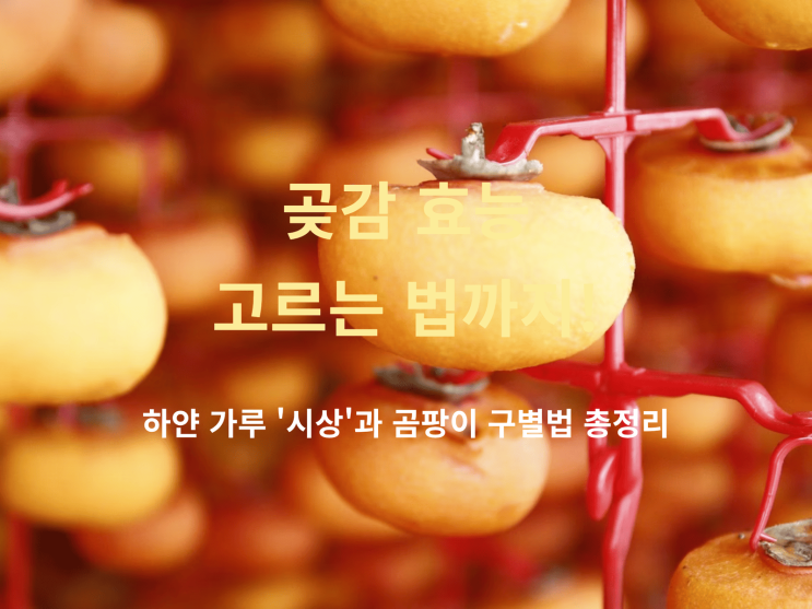  곶감 효능부터 고르는 법까지! 하얀 가루 ‘시상’과 곰팡이 구별법 총정리
