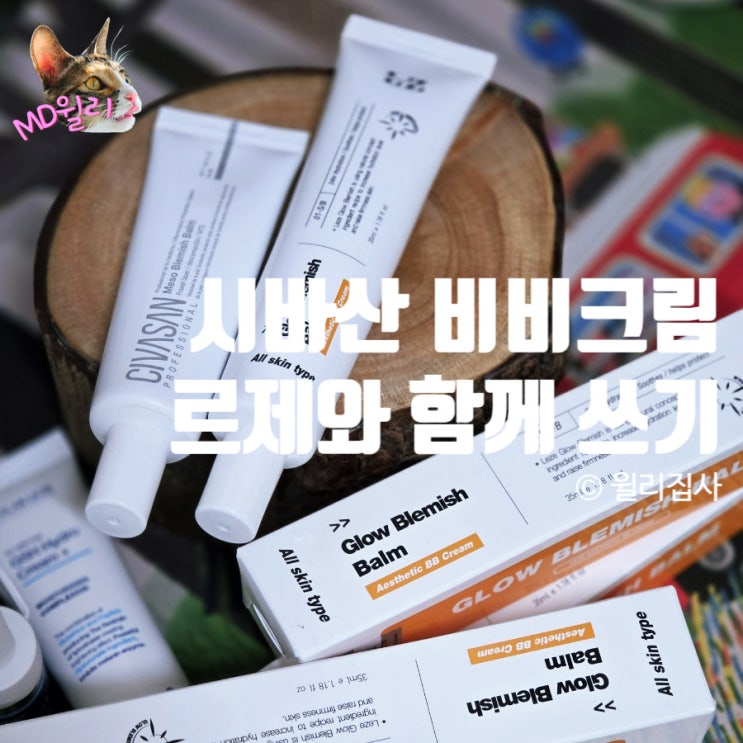  시바산 메조 메소 발삼 비비크림 비교 르제 비비크림과 같이 쓰는 조합 내돈내산 후기