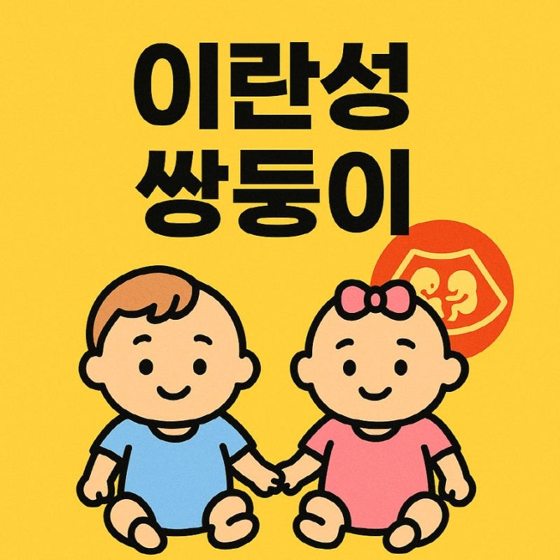 이란성 쌍둥이 뜻 확률 유전 성별 초음파