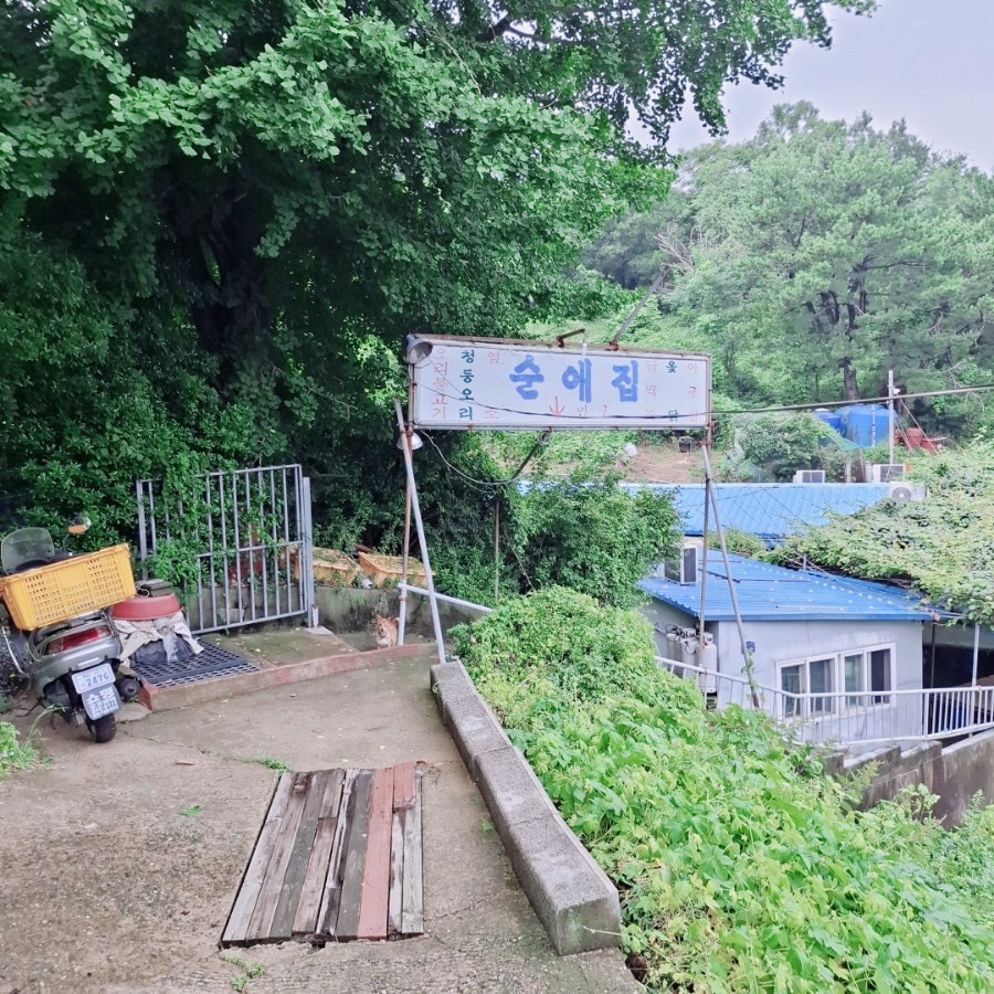 순애집 사진 1