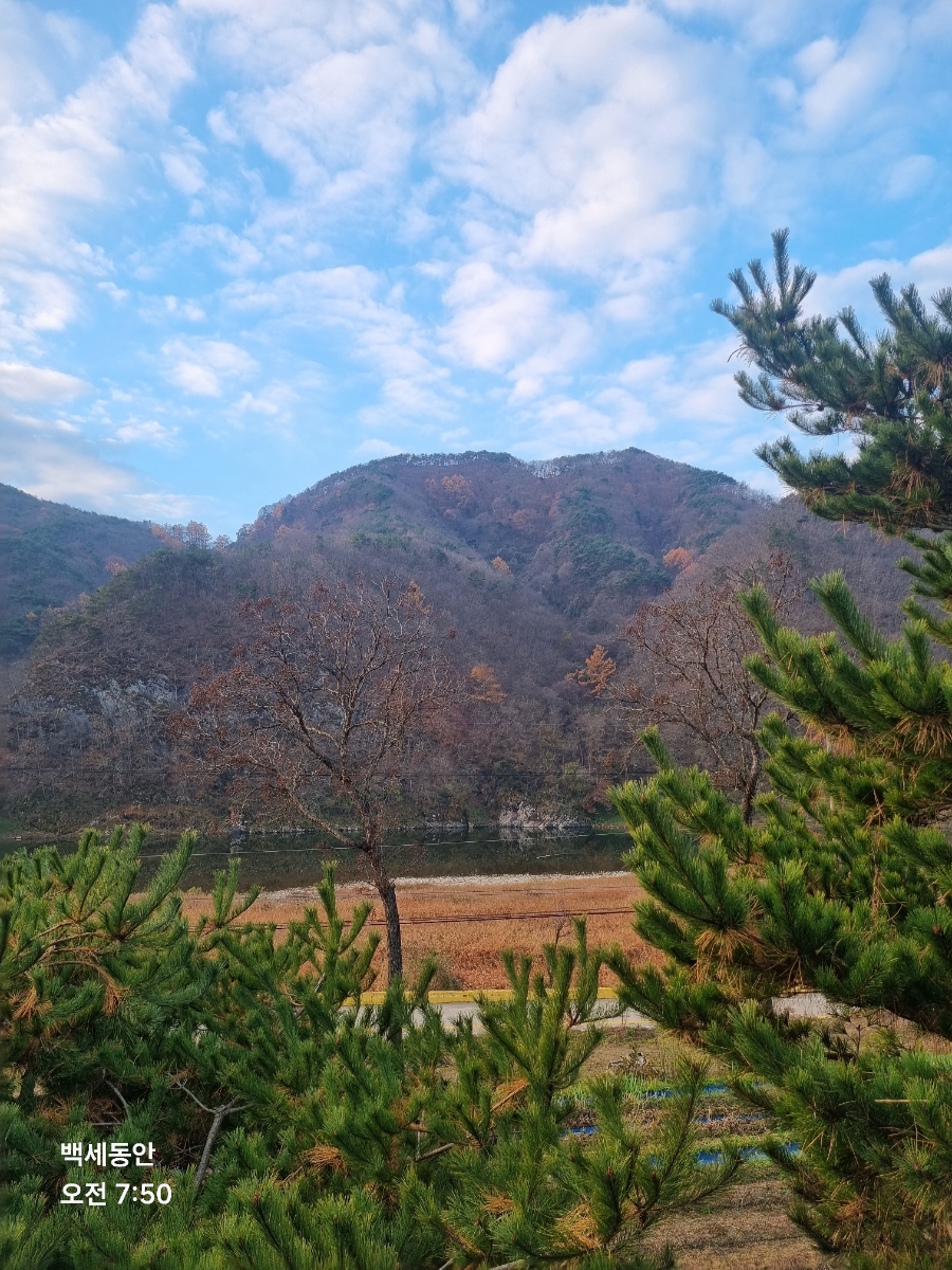 도림민박 사진 3