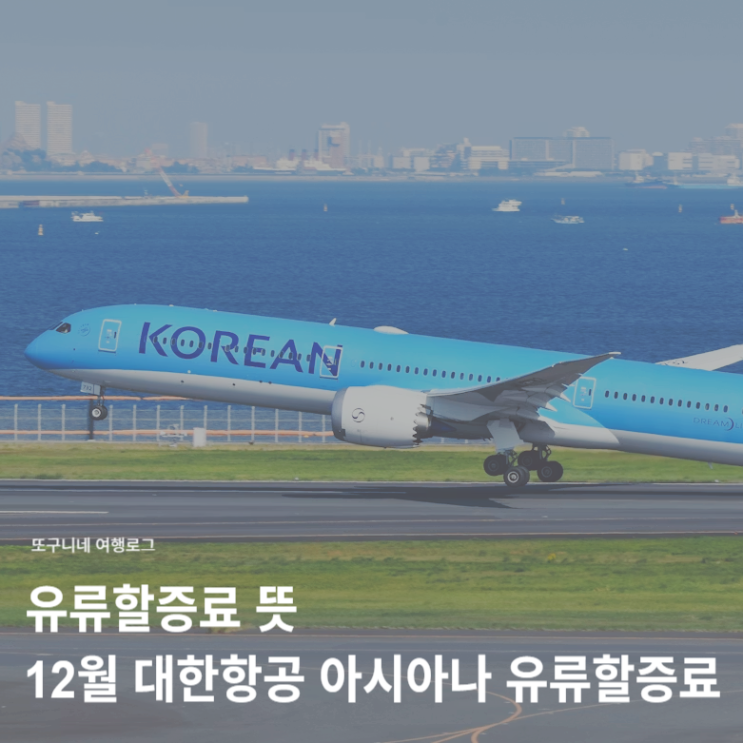  유류할증료 뜻, 12월 대한항공 아시아나 국제선 유류할증 요금 비교