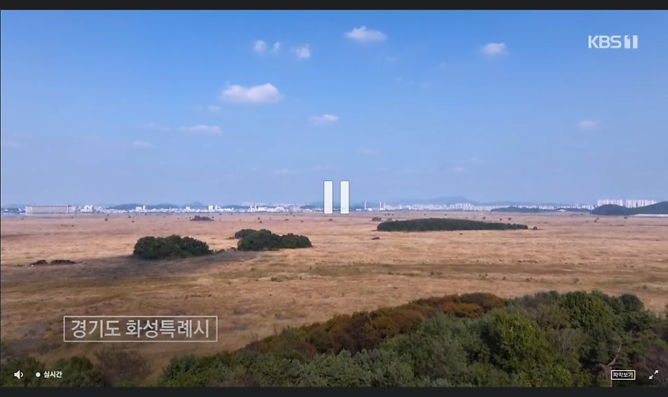 큰손국수집 사진 1