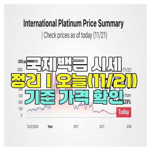  국제백금 시세 정리｜오늘(11/21) 기준 가격 확인