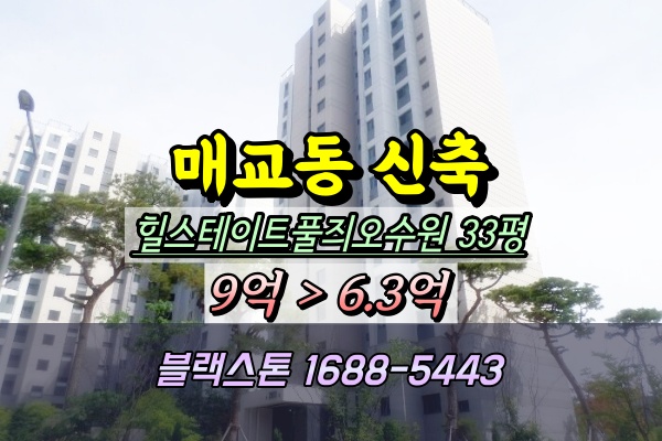 매교동 힐스테이트푸르지오수원 경매 33평