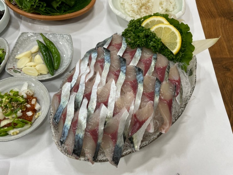  서귀포 고등어회 맛집 하영횟집 내돈내산 후기