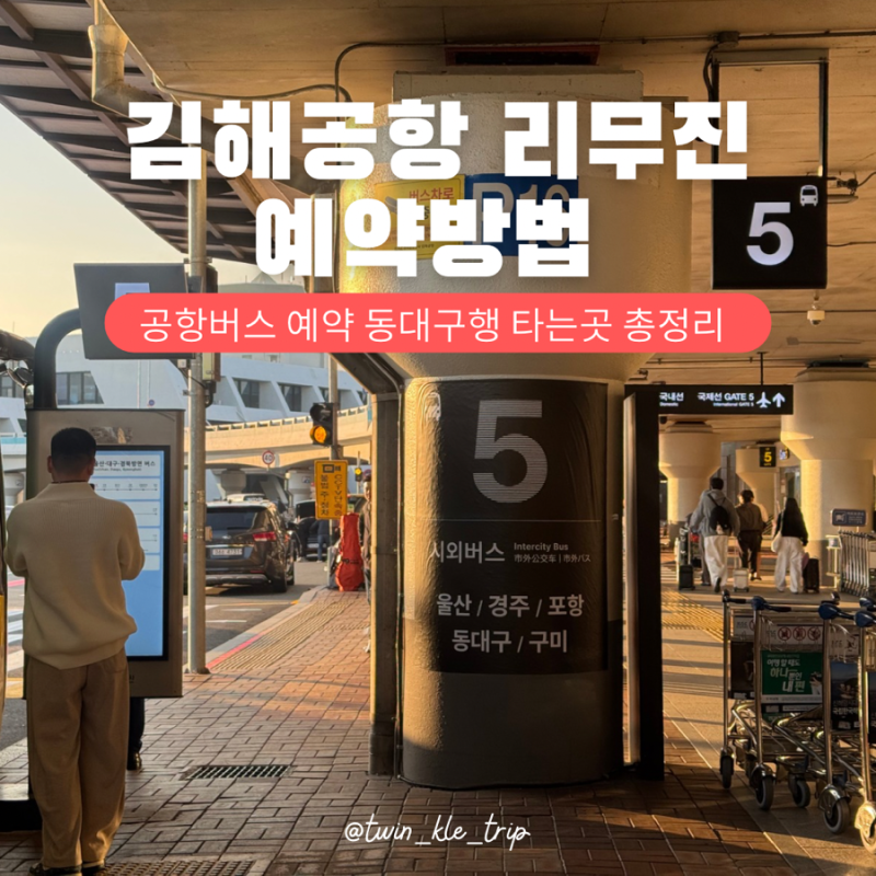 부산 김해공항 리무진 동대구행 타는곳 위치 요금 공항버스 예약방법 시간표 총정리
