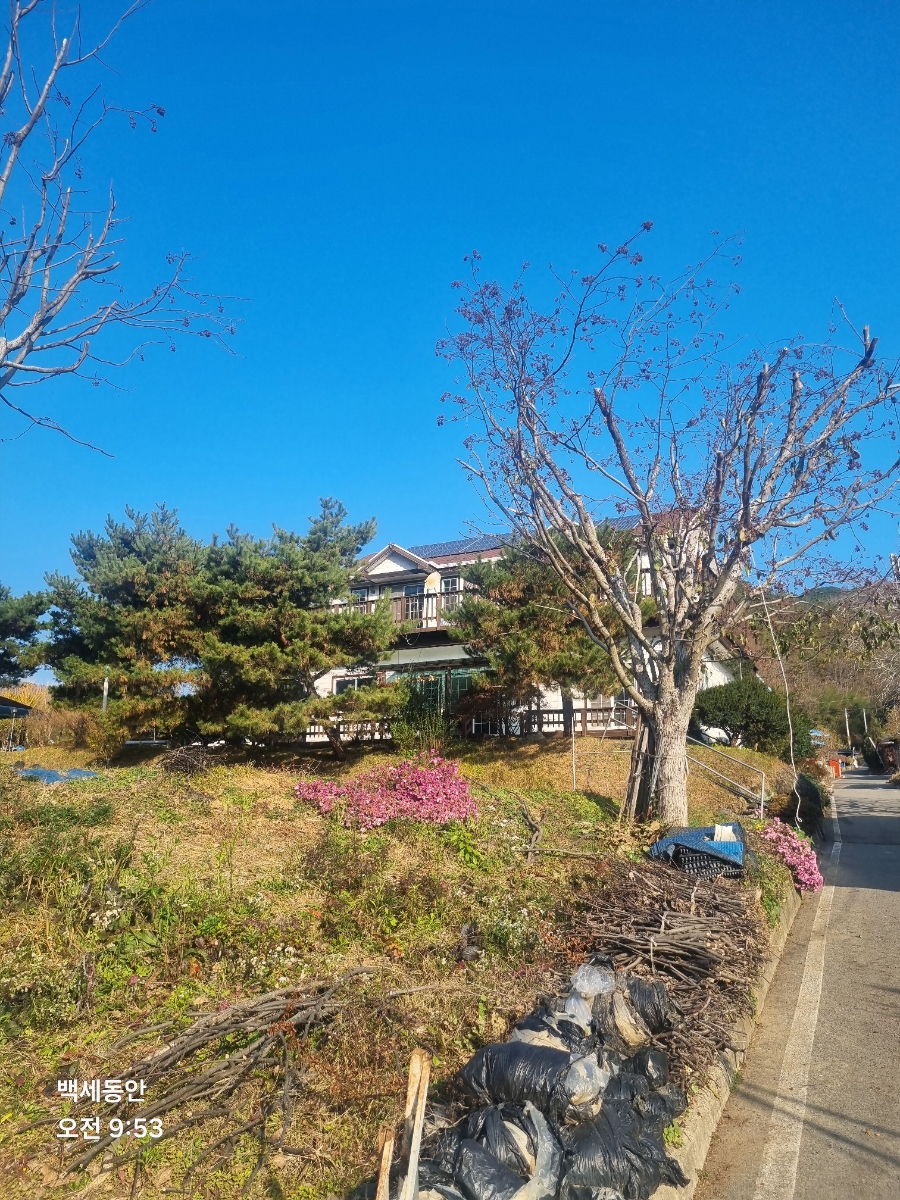 도림민박 사진 6