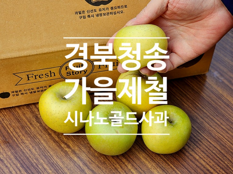  시나노골드 사과 경북 청송 고당도 흙내음 이야기 추천