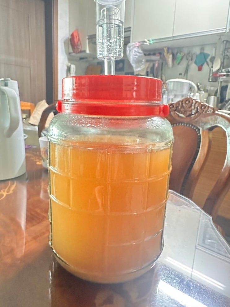  사과가 제철이라면 만들어볼 [애플사이다, 사과식초]
