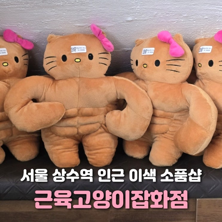  서울 상수역 소품샵 근육고양이잡화점 이색 무인 가게