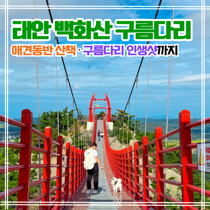 태안 백화산 구름다리 후기｜애견동반 가볼만한곳