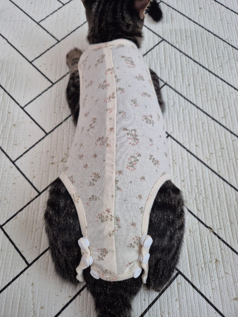 고양이 환묘복은 어려워