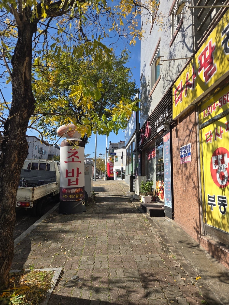 우메 사진 1