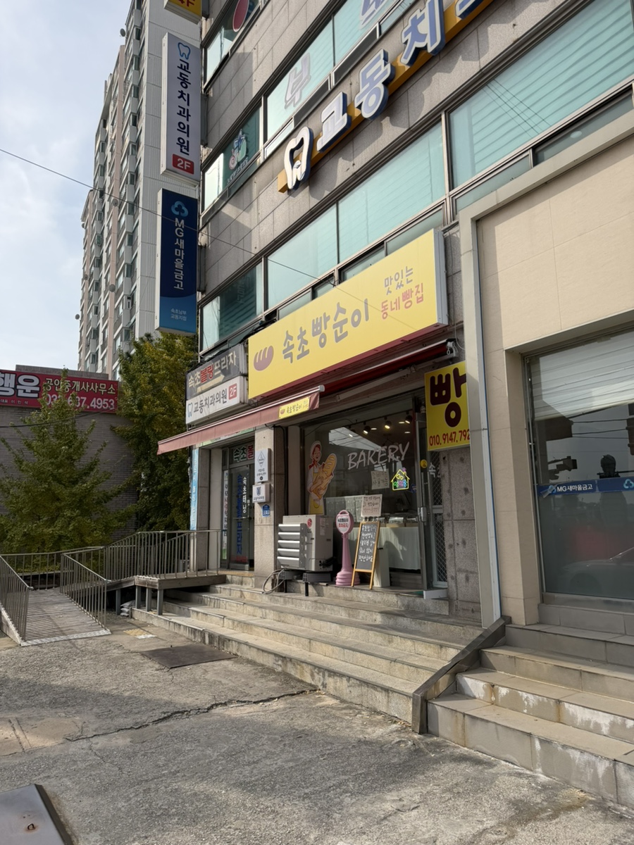 속초빵순이