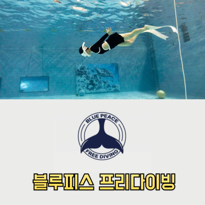 대구 프리다이빙 원데이클래스는 블루피스와 함께하는 두류 다이빙풀장에서 !
