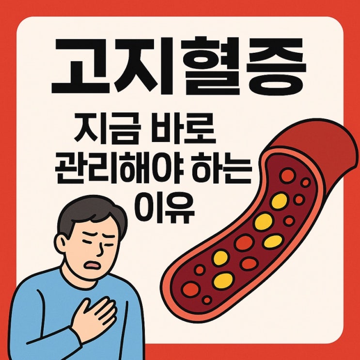  고지혈증, 방치하면 위험해지는 이유와 관리법 총정리