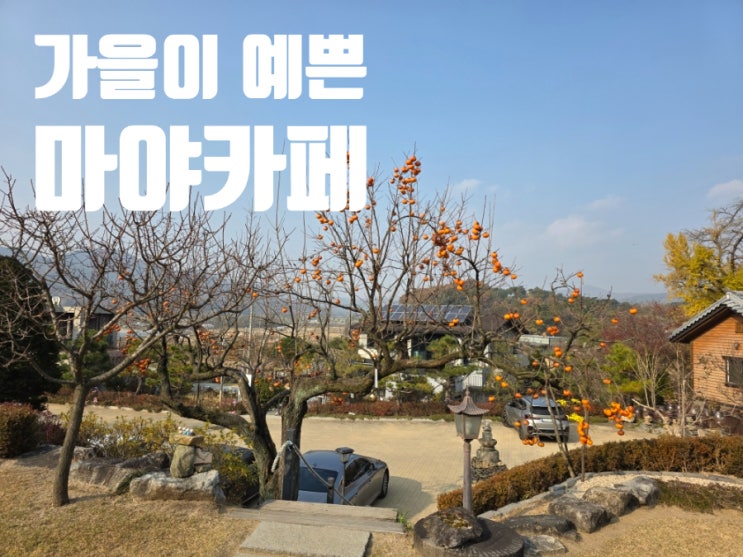  청주 가을나들이 마야사 가을풍경