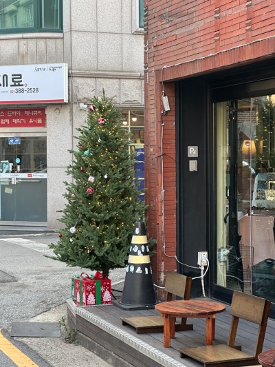 사진 7