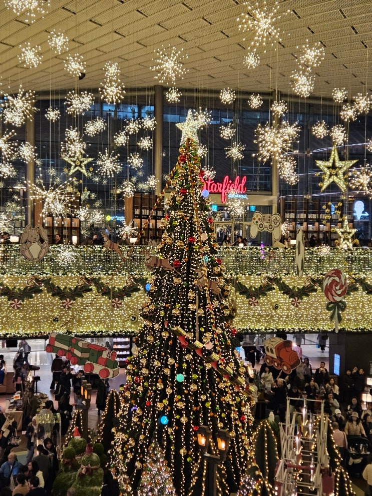  서울 강남 삼성 코엑스몰 별마당도서관 대형 크리스마스트리 실내 데이트