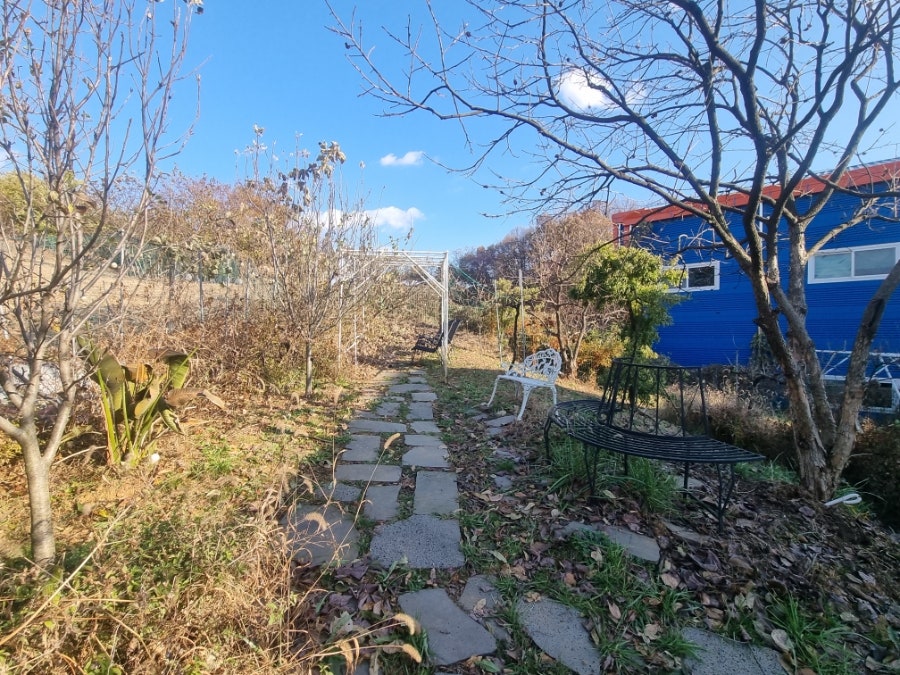 카페예빛 사진 5
