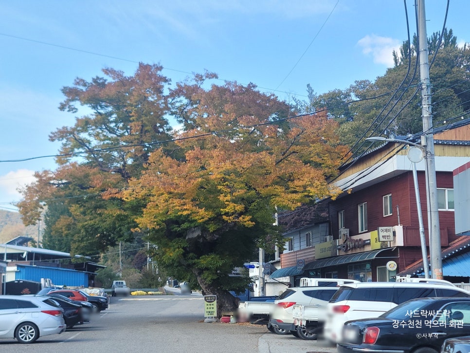 먹으러회관 사진 2
