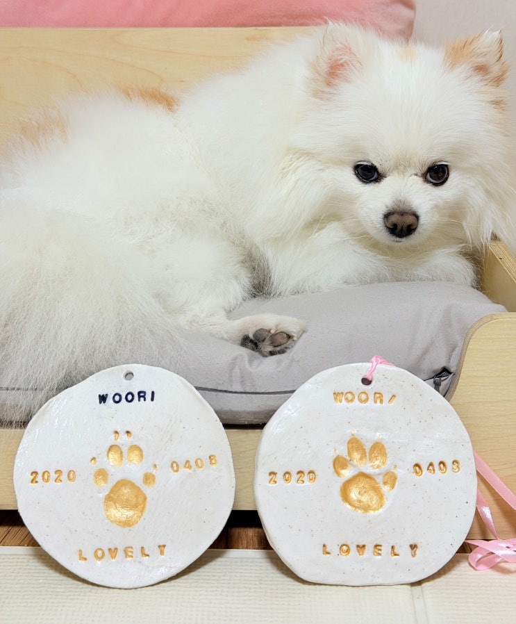  강아지발도장, 추억을 새기는 아쿠네 DIY키트