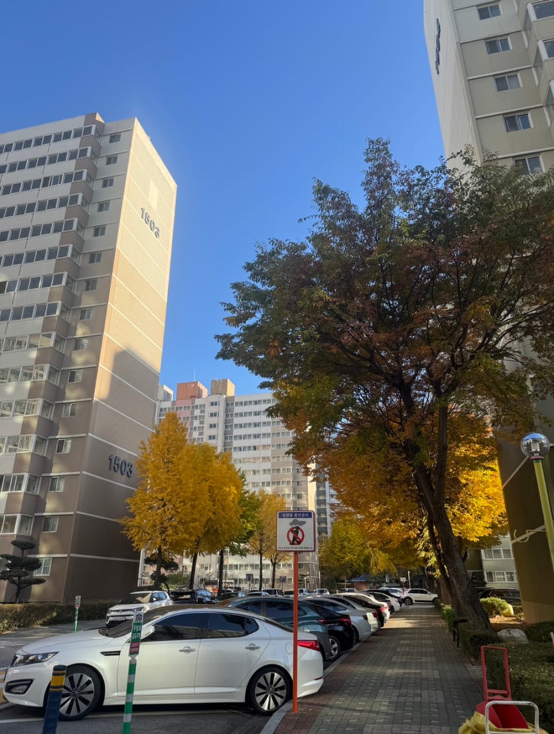 [공무원 아파트4] 공무원 임대주택 서울 상계주공15단지 입주자 세대방문 평면도 실측 후기