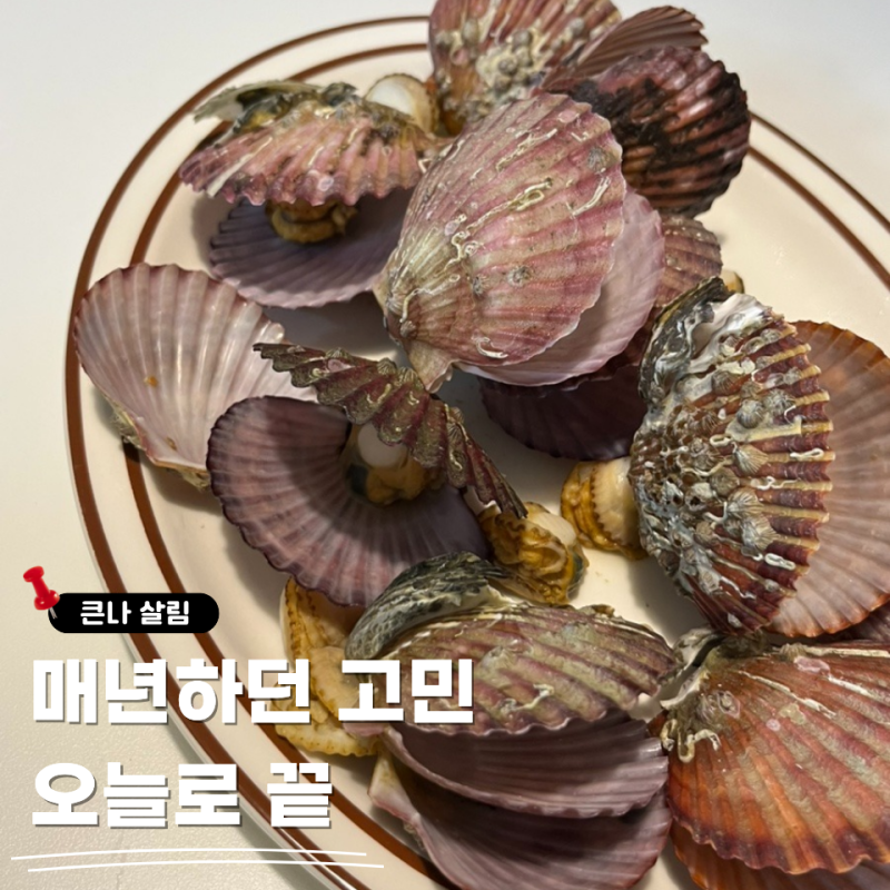 20대 자취생이 제일 헷갈리는 조개껍데기 분리수거, "이 방법"만 알면 완벽해요
