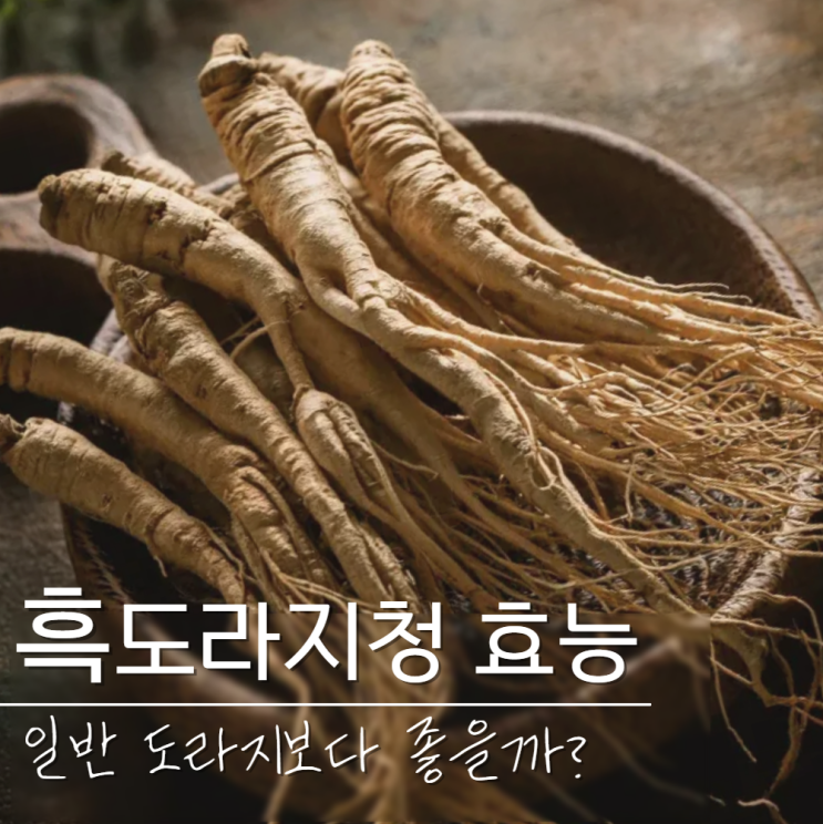  흑도라지청 효능 일반도라지와 차이?