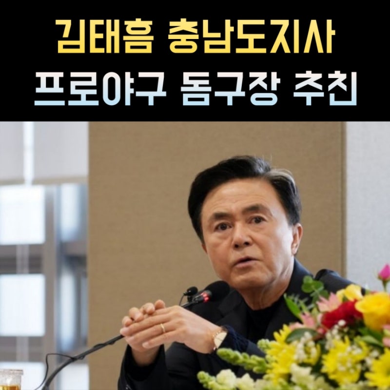 KBO 프로야구 천안시 돔구장 김태흠 충남도지사 프로필