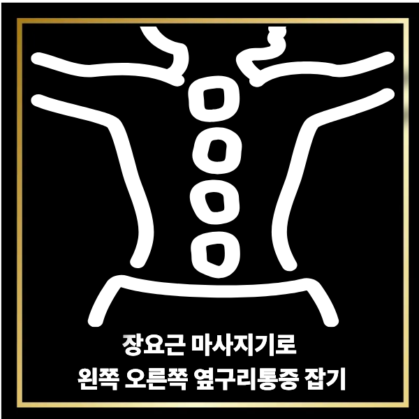  장요근 마사지기 추천 위치 효능과 부작용 비교 옆구리 통증 잡는방법
