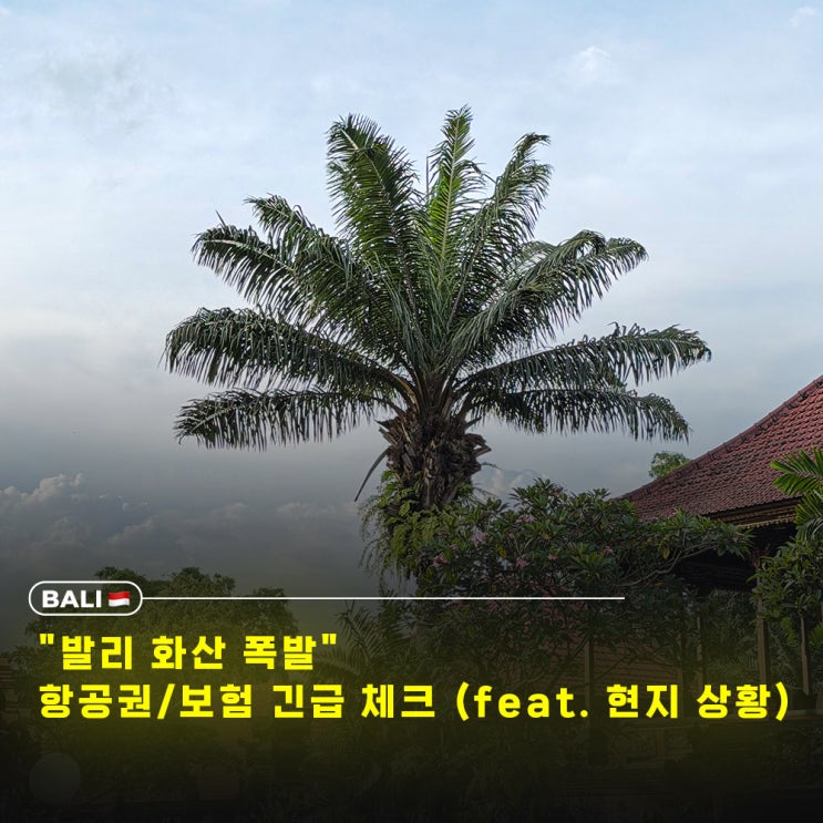  인도네시아 화산 폭발, 발리 우붓은 안전할까? 11월 현지 상황, 항공권·보험 체크리스트