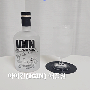 아이긴(IGIN) 애플진으로 즐기는 하이볼 레시피 전통주 후기