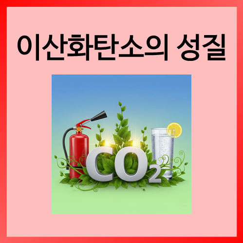  [초등화학]이산화탄소의 성질