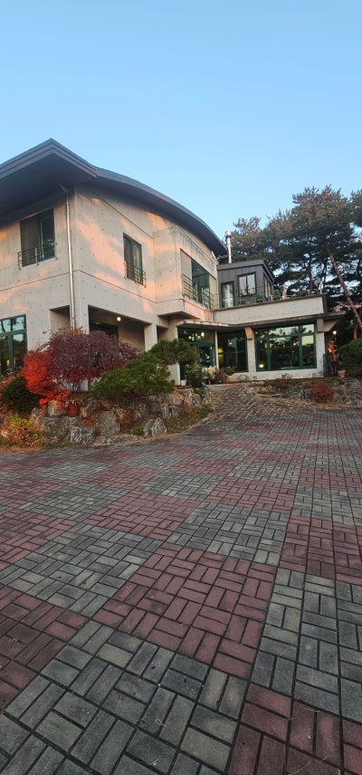 사진 5