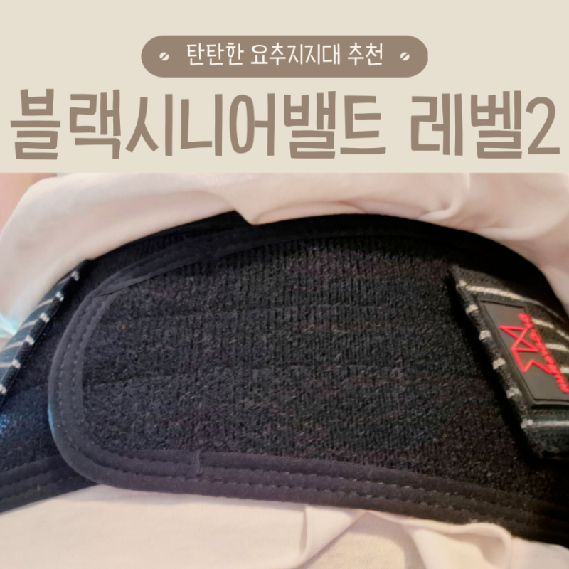 요추지지대 허리복대 닥터코어런 자석허리보호대 리뷰