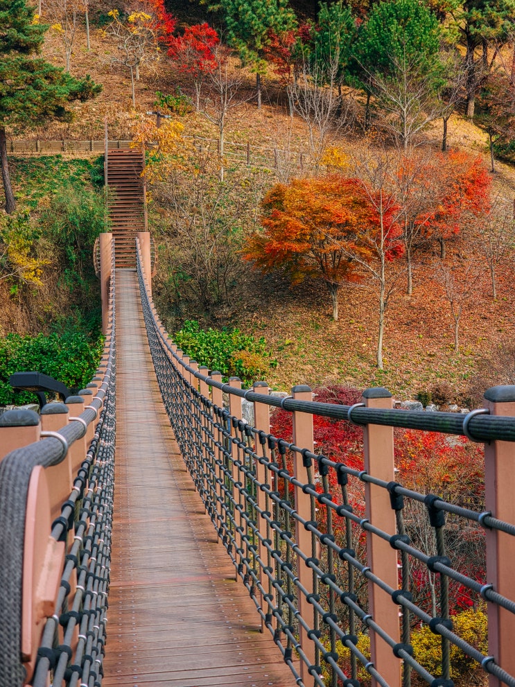  당진 당일치기 여행, 삼선산 수목원(주차장, 개방시간, 출렁다리)