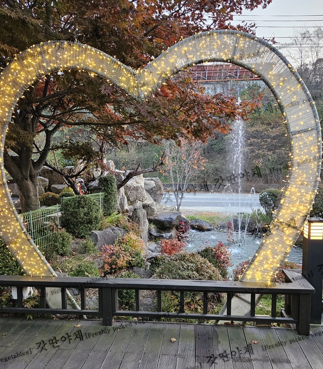 카페포레스트 사진 3