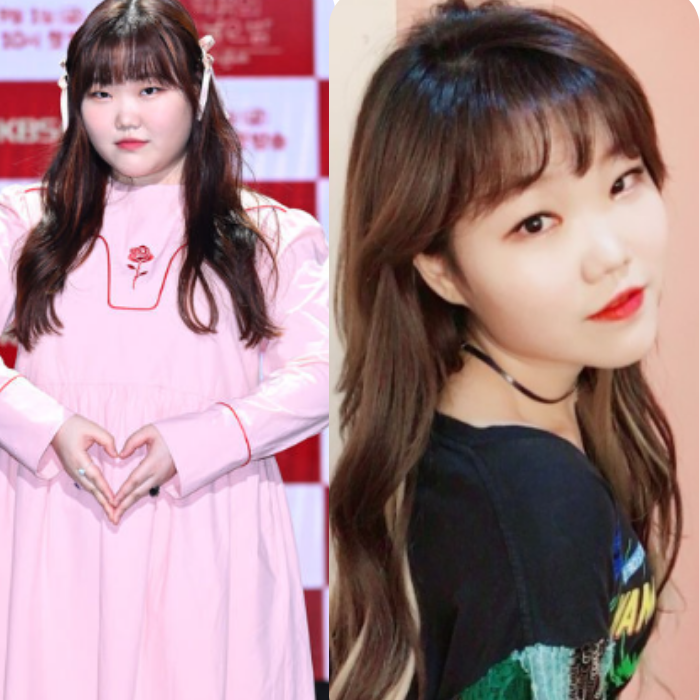 이수현 몸무게 다이어트 병명 위고비 해명 미국 LA 근황 YG 결별 인스타 & 프로필
