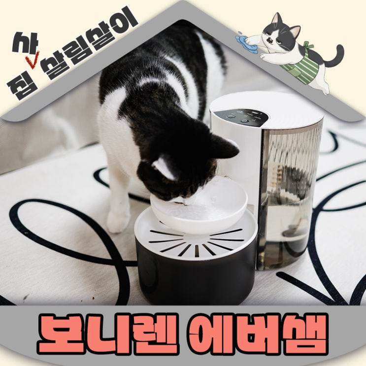  고양이 정수기 보니렌 에버샘 노필터로 깨끗한물만 안전하게