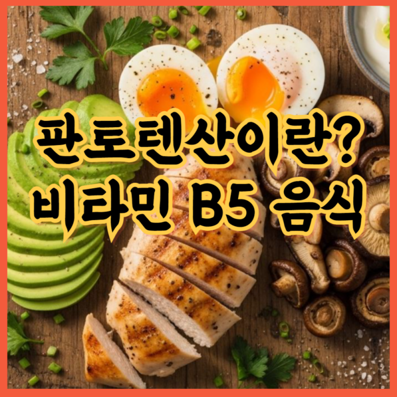 판토텐산이란? 비타민 B5 효능 많은 음식은