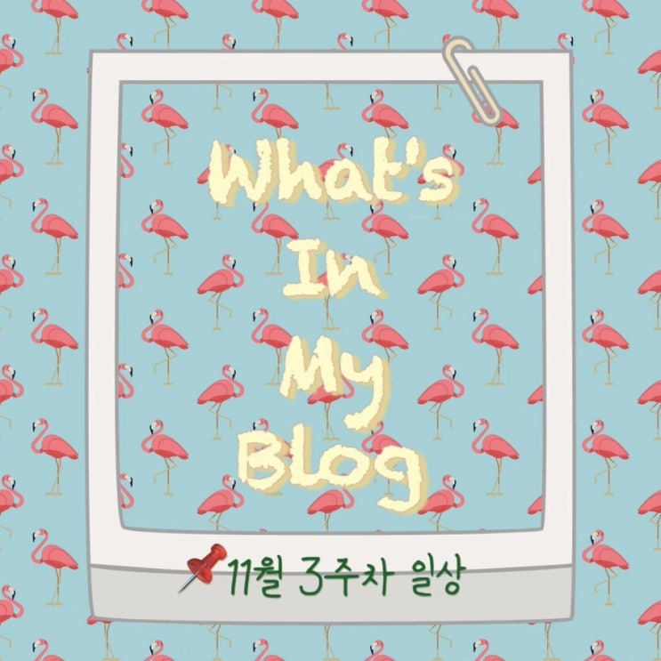  11월 3주 차 일상 정리 왓츠인마이블로그 블챌