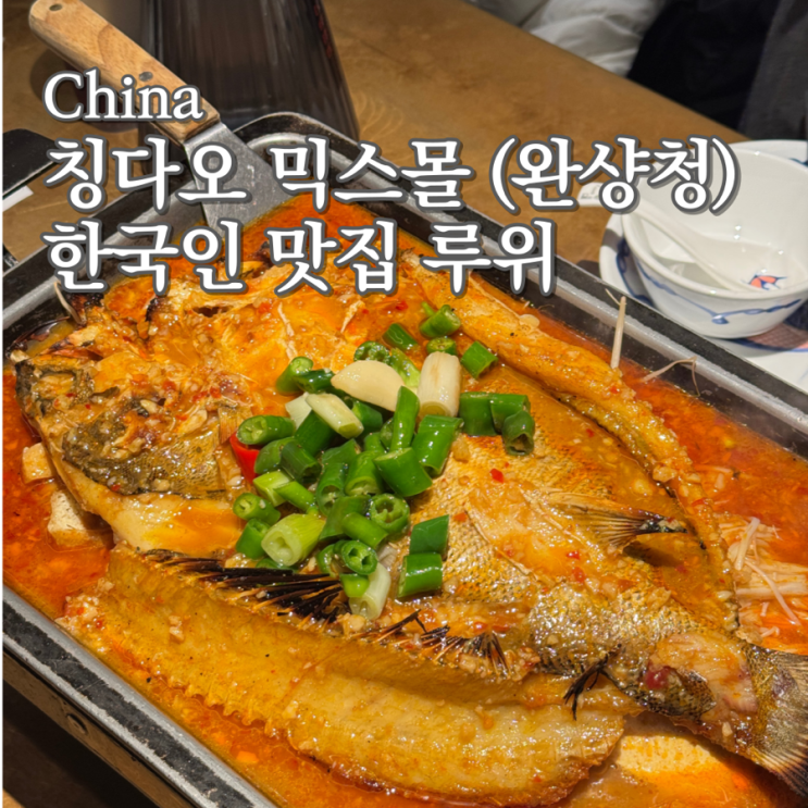  칭다오 루위 농어찜 | 현지인·관광객 모두 줄 서는 농어찜 맛집 (고덕지도링크공유)