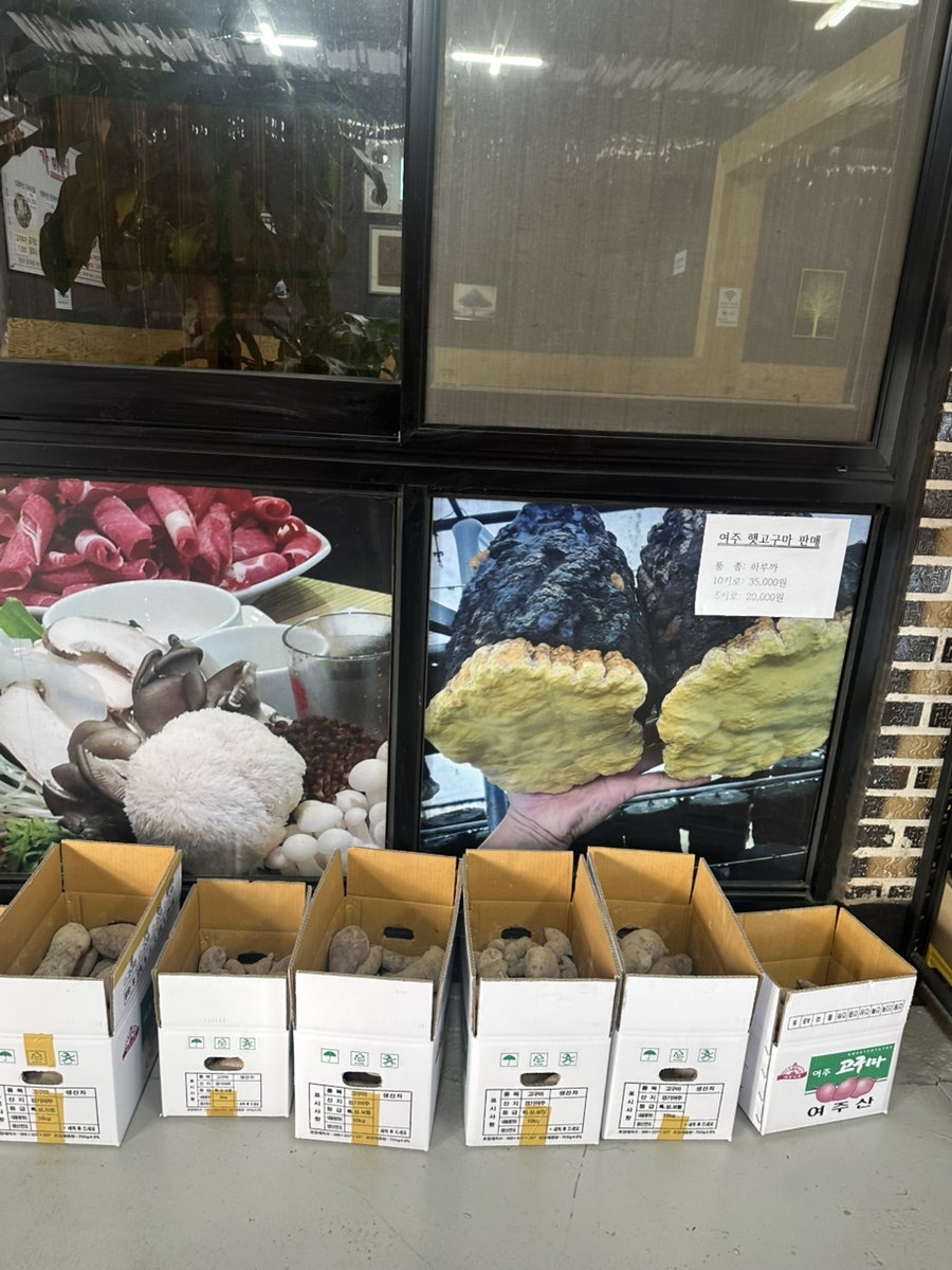 가마실 사진 5