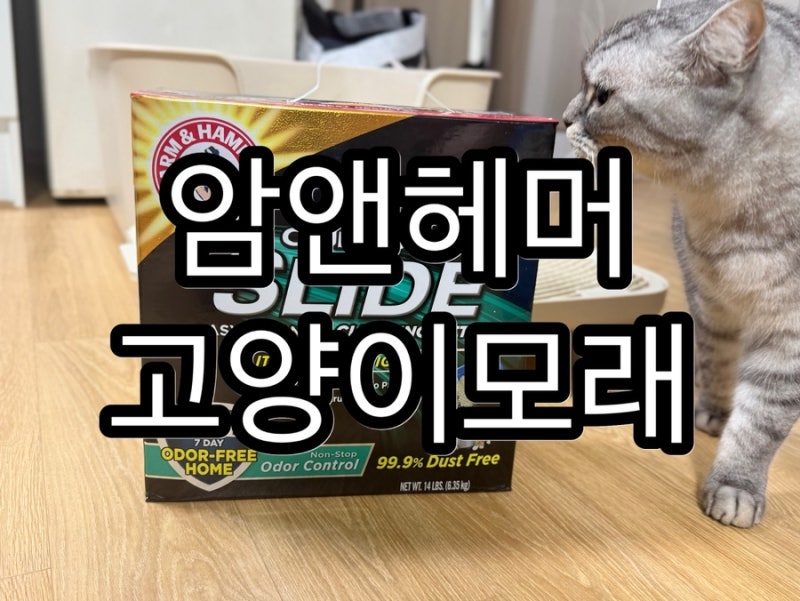 고양이 화장실 냄새? 이제 지긋지긋한 악취에서 해방될 시간! 암앤해머 고양이모래가 집사들....