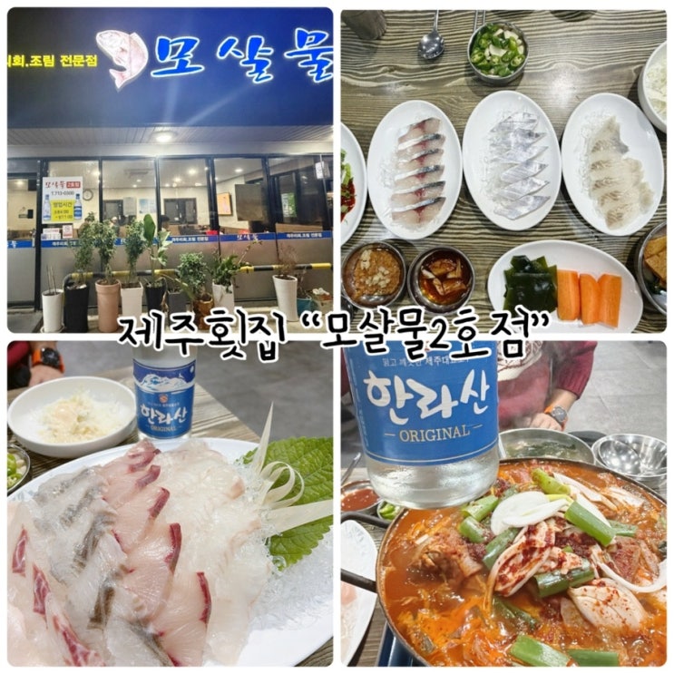  신제주 횟집 "모살물2호점" 제주공항 근처 가성비 식당