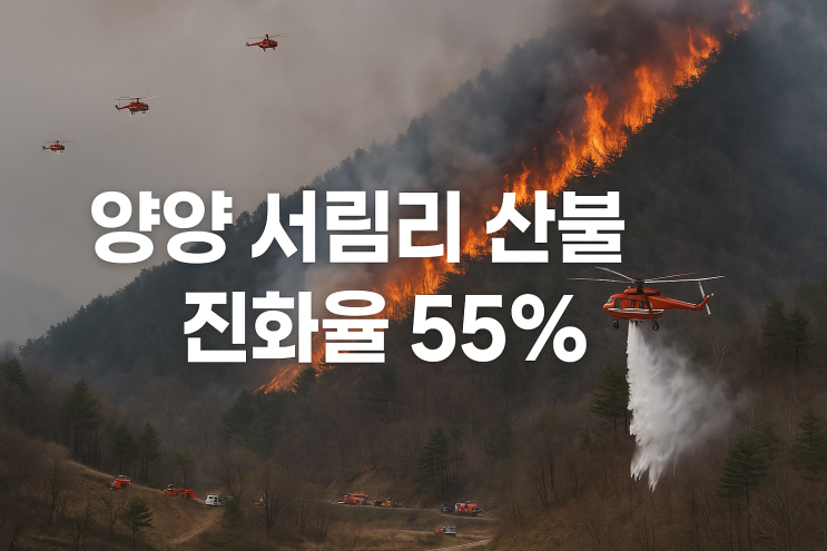 <b>양양</b> 서림리 <b>산불</b> <b>진화</b>율 55% 밤새 320명 투입, 현재 상황 정리
