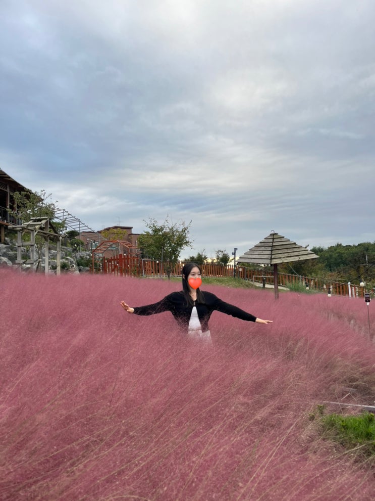  바빴던 10월 밀린 일기